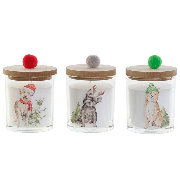 V7H298508C60BAC8CE9882BFCF067C7459BR7431966P3