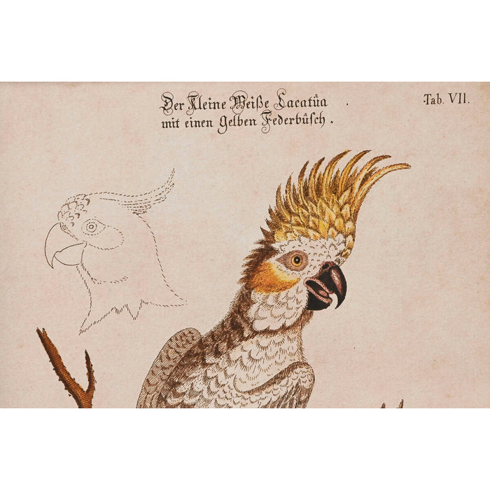 V4H762C292F7444A33ACA64B497FA6BB931R6372541P3