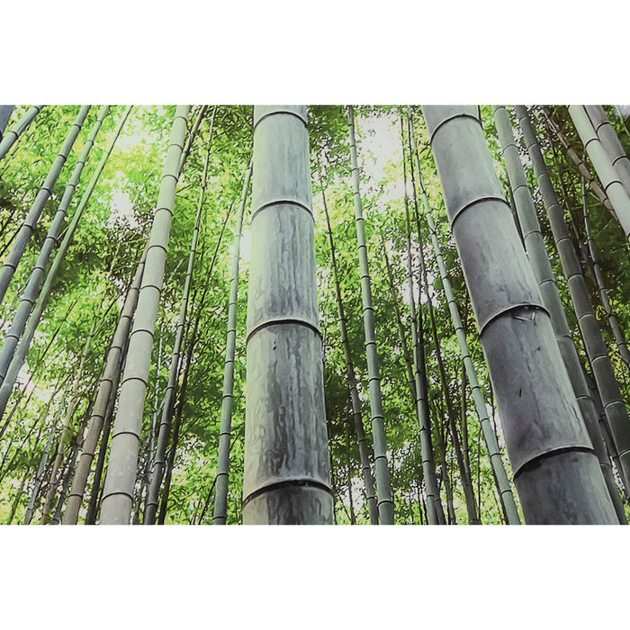 V7H8DFEE6D2C125F126D2F6B9B79C3C8A6BR6373240P3