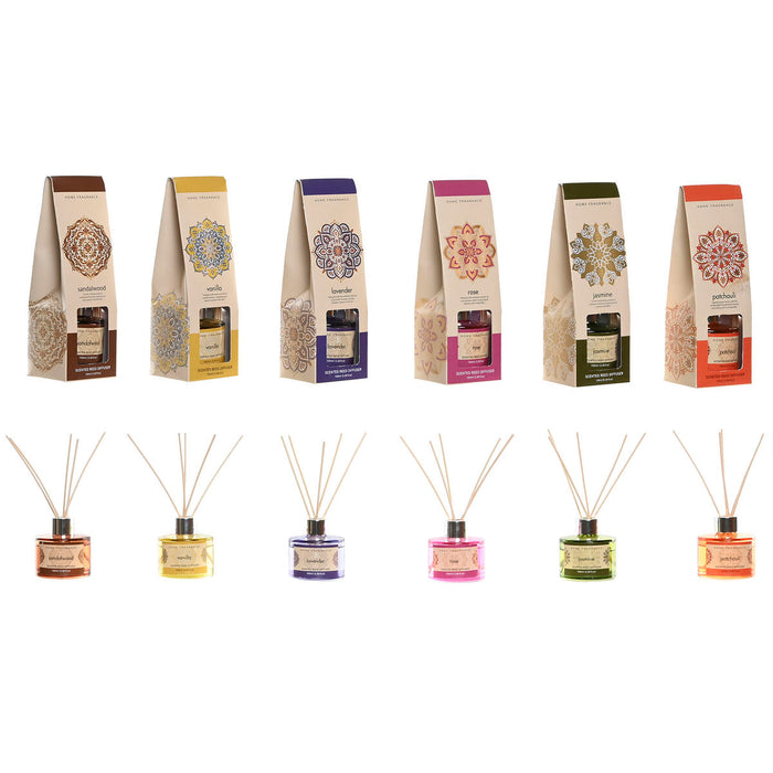 V5HE4E7D81EA91C5C5A090B1E95345563D7R5670543P1