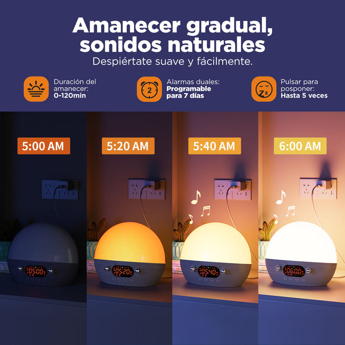 V2H14C48F2499667E9B64A41BA8F97CE8EAR7612240P6