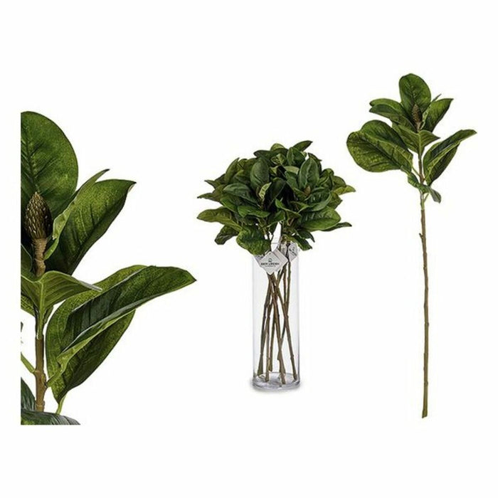 Dekorationspflanze Bettlaken Kunststoff (80 cm)