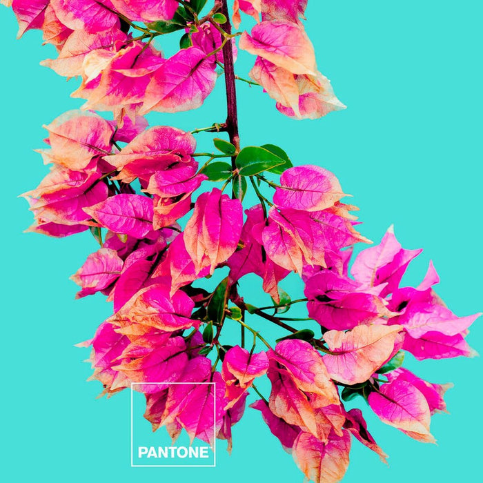 V12HD91F43C5C90279A55109A20916983403R3399549P3