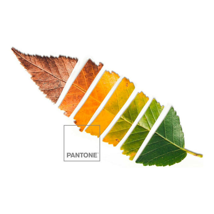 Bettwäsche-Set Leaf Pantone