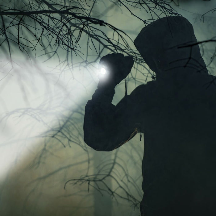 V12H386E8A8954F4F0F81D80C22170329B7CR5365405P3