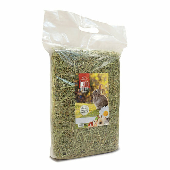 V5H53A6A81E9A4DAD56674DC91D3375F26BR7445422P2