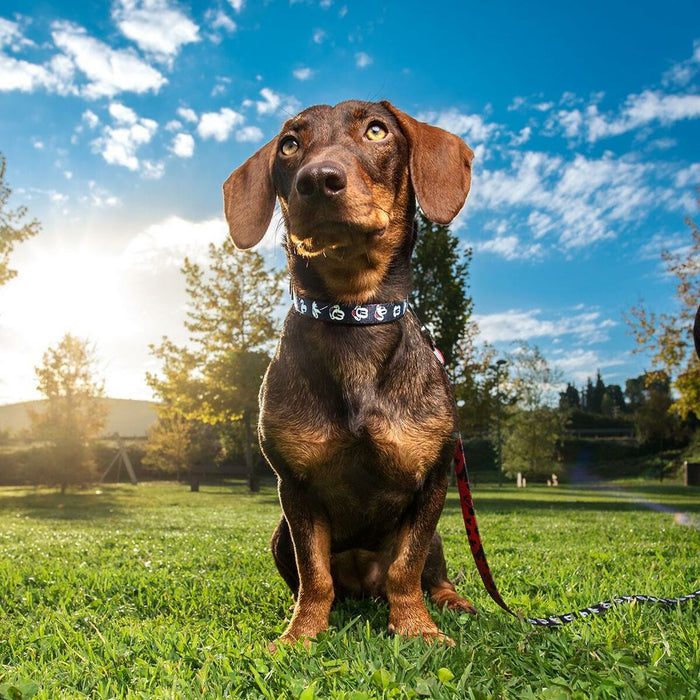 V4HBCC453C7B104ECF0765FB3886416A89AR4655456P7