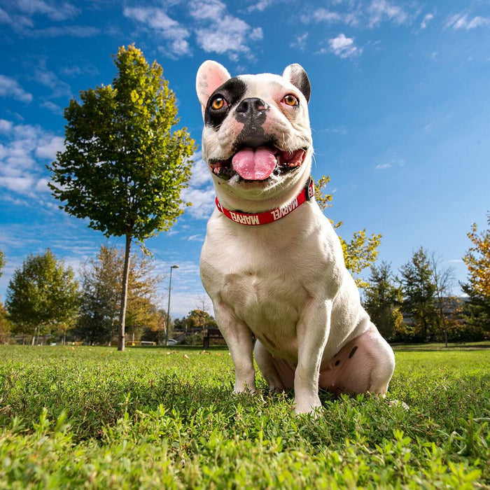 V5HAFEFB58376E0877386C85C8201EB2320R4644449P5