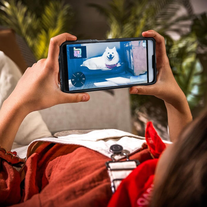 V2HA8E280A67621A9D683DFDA7671585E8DR7648447P4