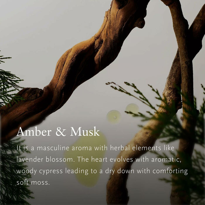 V4HF9AB5A353CBC56C3CFF2C6F0BAE21FBAR5617570P4