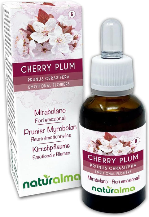 Naturalma Kirschpflaume Prunus cerasifera Tropfen
