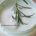 Jean & Len Melting Moisture Body Treatment Rosemary & Ginger