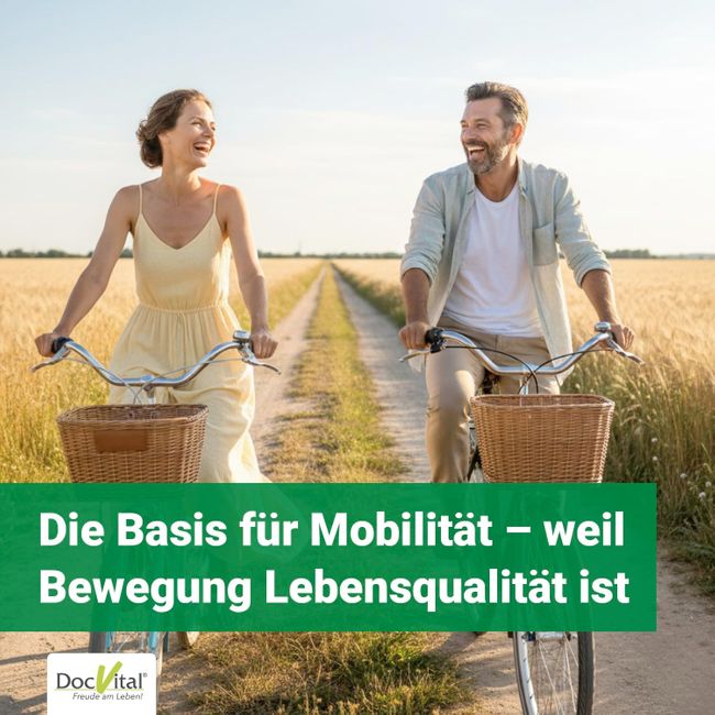 DocVital Glucosamin Chondroitin MSM Kapseln