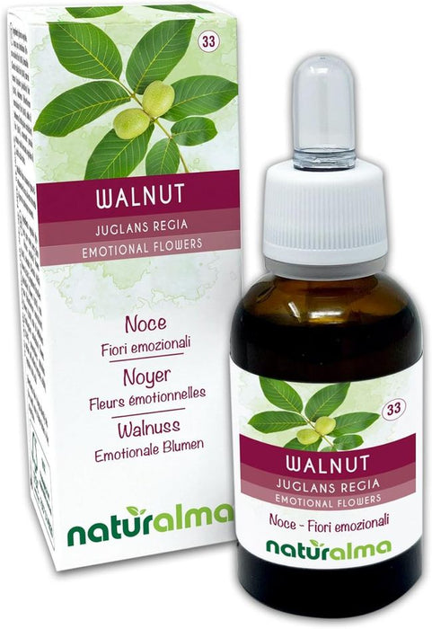 Naturalma Walnuss Juglans regia Tropfen