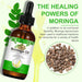 Zoxpm Moringa Oil für Haare Haut, Gesicht