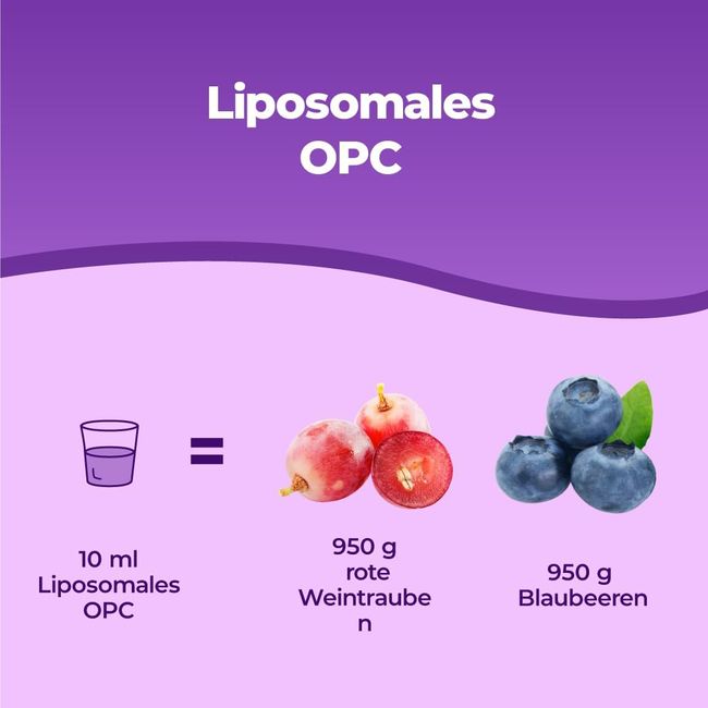 Bandini OPC Liposomal Traubenkernextrakt Flüssig