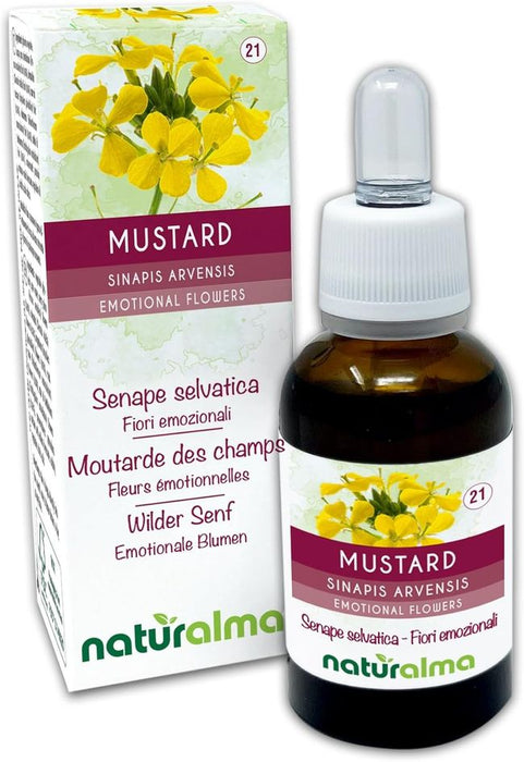 Naturalma Wilder Senf Sinapis arvensis Tropfen