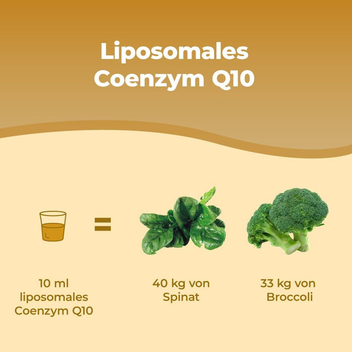 Bandini Liposomales Coenzym Q10