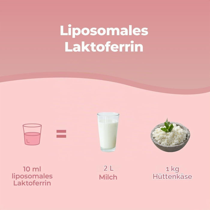 Bandini Liposomales Lactoferrin