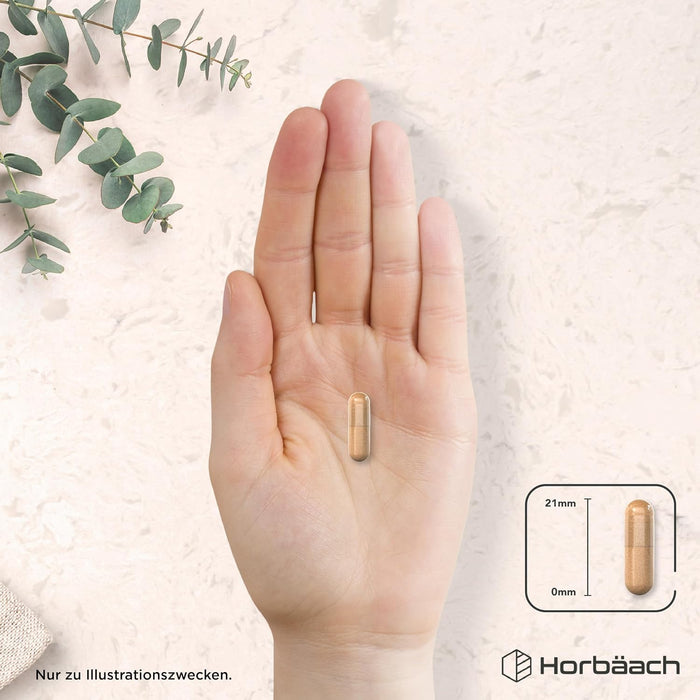 Horbäach Ashwagandha-Magnesium-Zink-Komplex