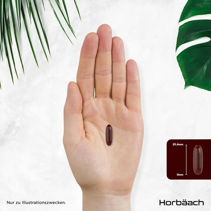 Horbäach Krillöl