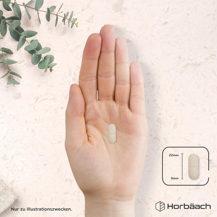Horbäach Magnesium-Kalium-Komplex