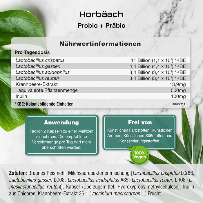 Horbäach Probiona Kulturen-Komplex