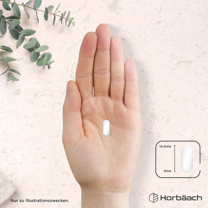 Horbäach Zink-Magnesium-B6-Komplex