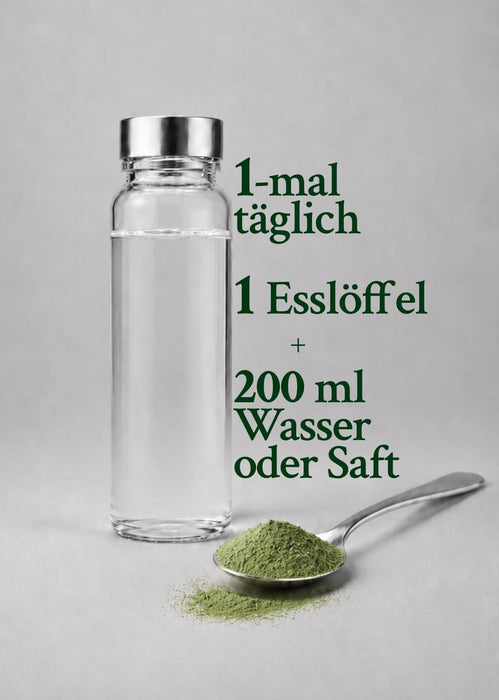 Intenson Green Formula Heidelbeere