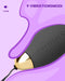 MySecretCase Lovetto 2.4 Vibrations-Ei