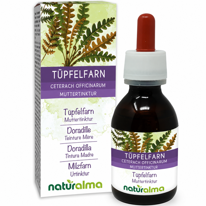 Naturalma Milzfarn (Ceterach officinarum) alkoholfreie Tropfen
