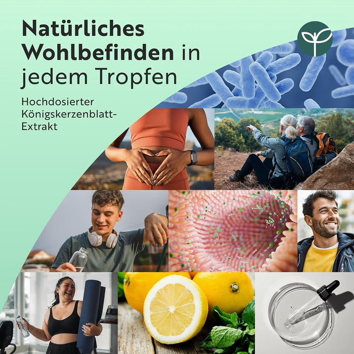 Nutravita Königskerzenblatt-Tropfen Zitrone