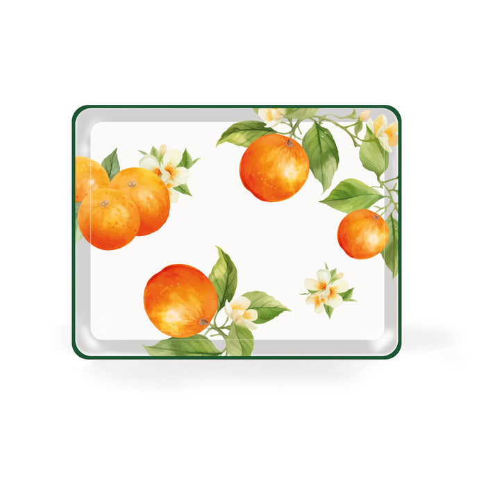 V5H2F13AD2782B8F55CE8FD32F029A5BE35R6844837P4