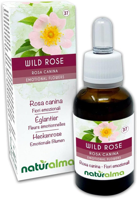 Naturalma Heckenrose Rosa canina Tropfen