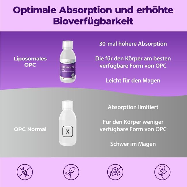 Bandini OPC Liposomal Traubenkernextrakt Flüssig