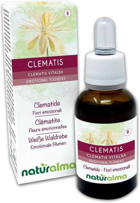 Naturalma Weiße Waldrebe Clematis vitalba Tropfen