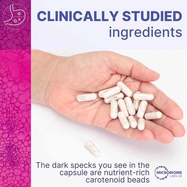 Microbiome Labs MegaSporeBiotic Plus