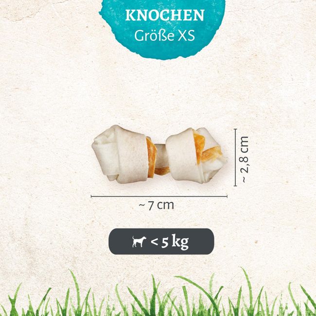 8in1 Pro Dental Knochen XS