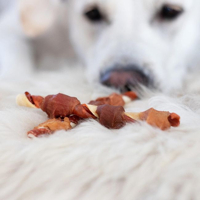 8in1 Triple Flavour Skewers Kaustangen für Hunde Beutel
