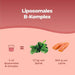 Bandini Vitamin B Komplex Liposomal Flüssigformat