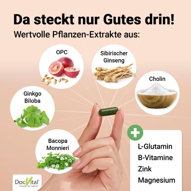 DocVital Gehirn Vital Komplex Kapseln