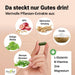 DocVital Gehirn Vital Komplex Kapseln