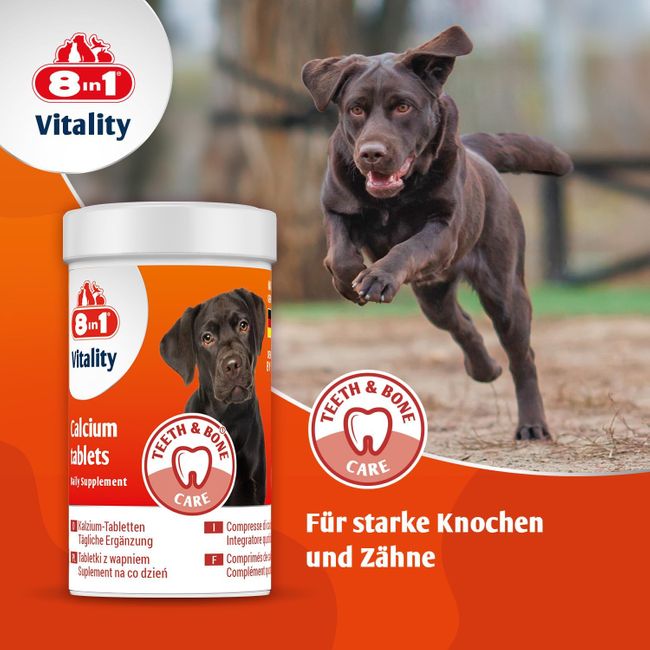8in1 Kalzium Tabletten