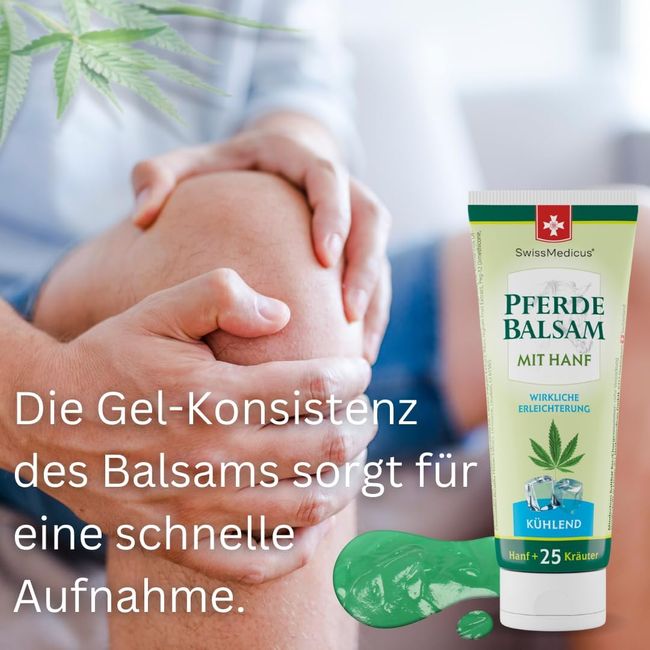 SwissMedicus Pferdebalsam mit Hanf