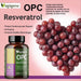 VEGÁGENO OPC Traubenkernextrakt und RESVERATROL Kapseln