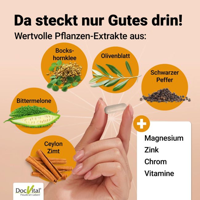 DocVital Blutzucker Komplex  Kapseln