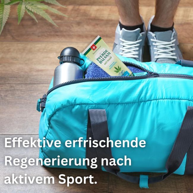 SwissMedicus Pferdebalsam mit Hanf