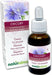 Naturalma Wegwarte Cichorium intybus Tropfen