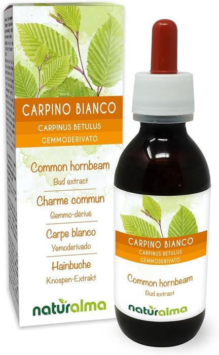 Naturalma Hainbuche Weißbuche Carpinus Flüssig