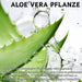 SUMMISHI 99% Aloe Vera Gel